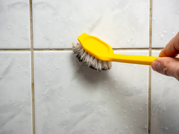 Best Mold Cleaning Services  in Port Jefferson Station, NY