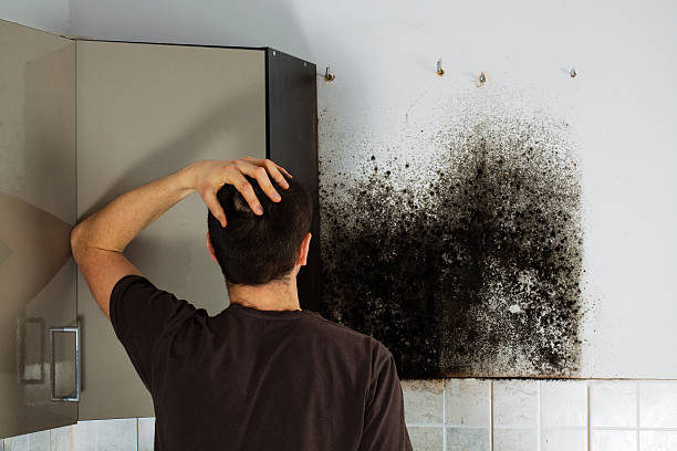 Best Residential Mold Removal  in Port Jefferson Station, NY